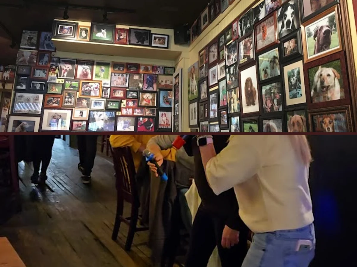 Dog-themed wall art inside a casual bar and grill.