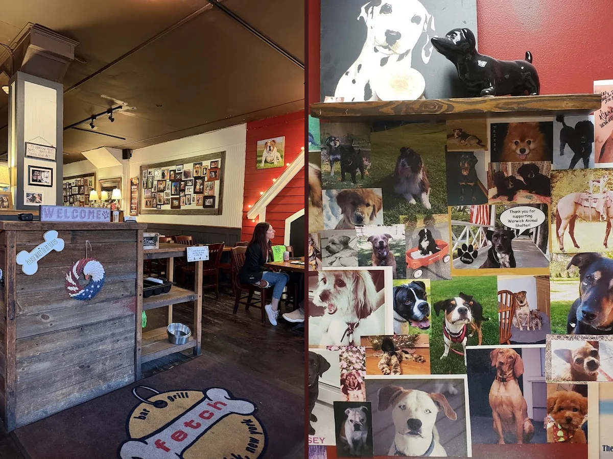 Cozy dining room with framed canine paintings.