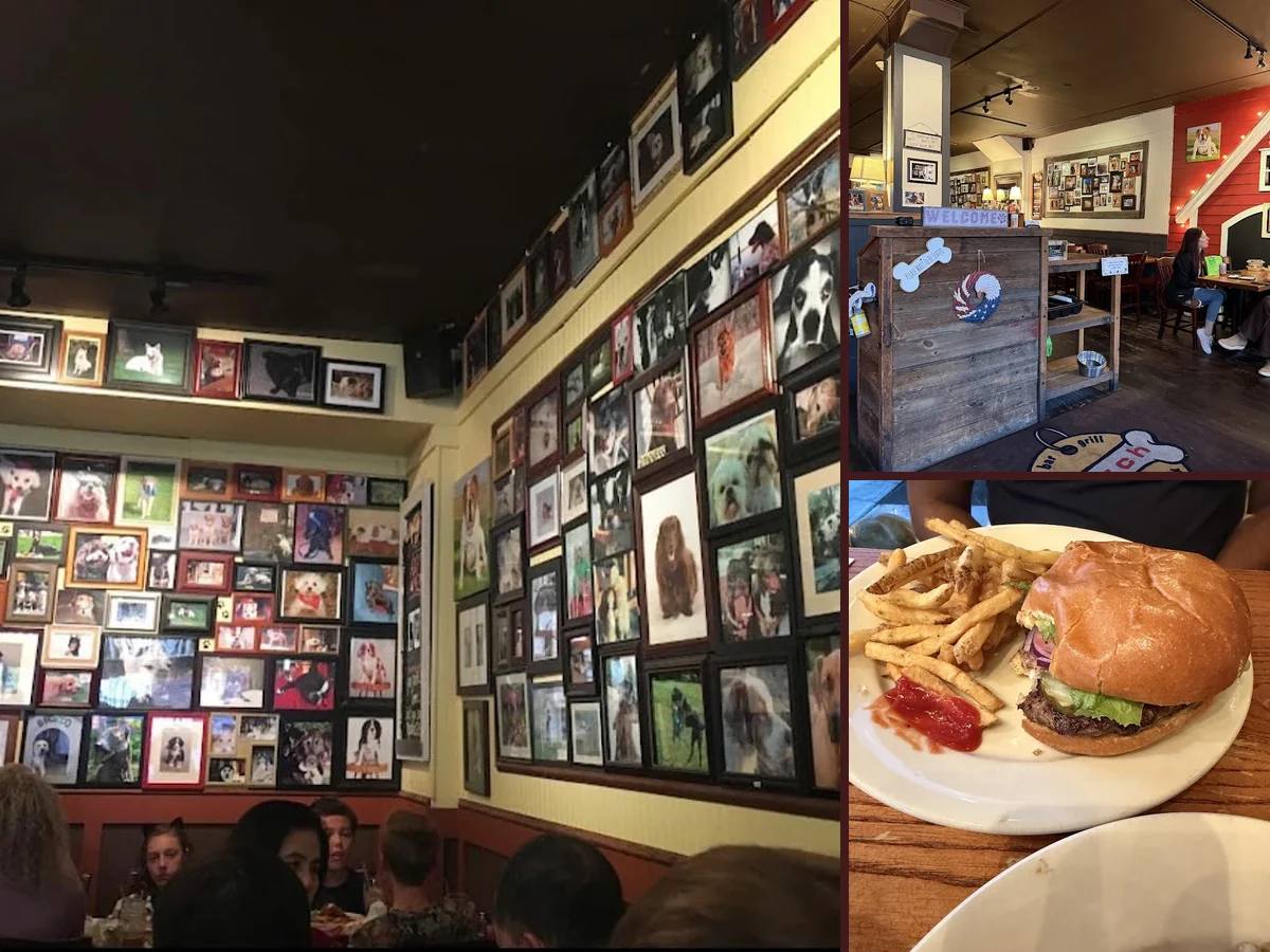 Casual restaurant interior with bar seating and artwork.