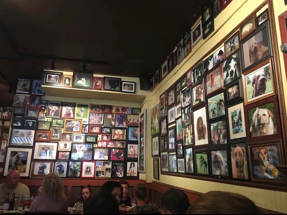 Dog-themed wall art inside a casual bar and grill.